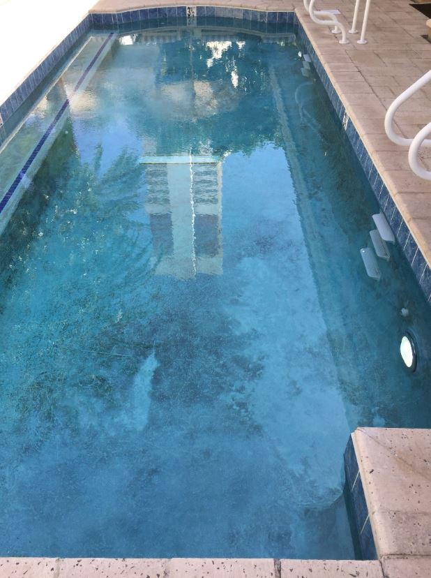 Emergency Pool Stain Removal